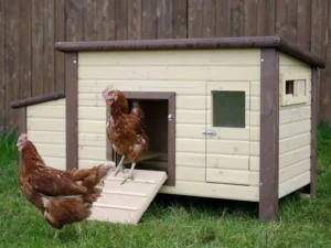 Zateplený vyhrievaný kurín pre sliepky KERBL 82844 NO FROST