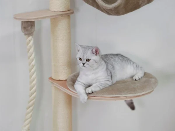 Mačacie strom na stenu KERBL 84458 DOLOMIT GRAPPA, 158x80x53 cm – Obrázok 3