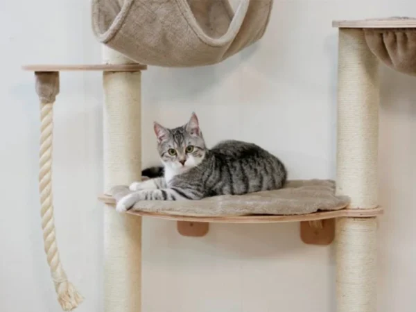 Mačacie strom na stenu KERBL 84459 DOLOMIT GRAPPA PRO, 138x70x50 cm – Obrázok 4