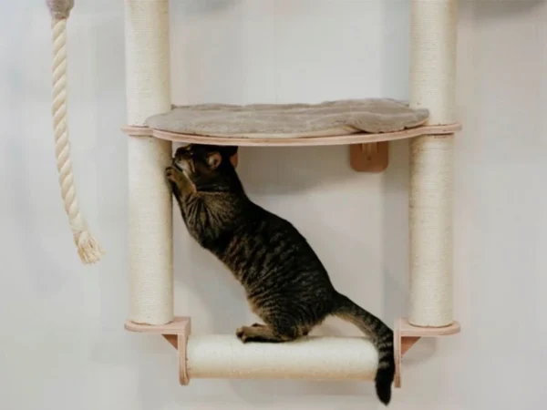 - Online Chovateľské Potreby a Krmivá