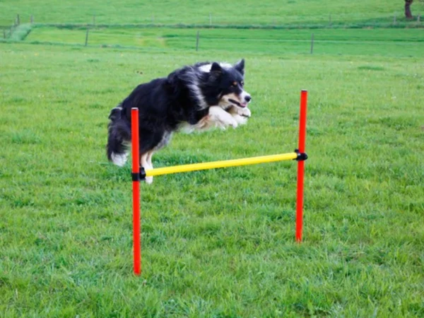 Agility prekážky pre psov KERBL 80758, set 3 typy – Obrázok 4
