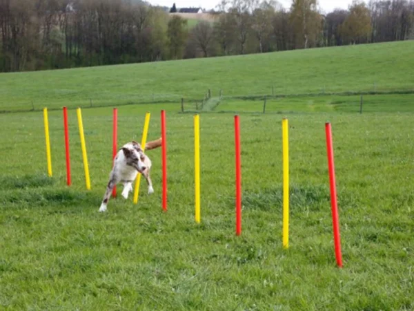 Agility prekážky pre psov KERBL 80758, set 3 typy – Obrázok 3