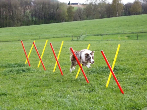 Agility prekážky pre psov KERBL 80758, set 3 typy – Obrázok 2