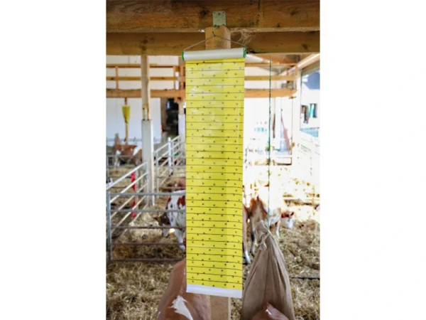 Mucholapka so závesom KERBL 299789 JUMBOXL, 40cm x 10m – Obrázok 4