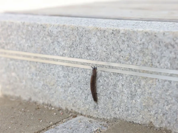 Vodivá páska k ohradníku KERBL 291129 SNAILSTOP, 20m