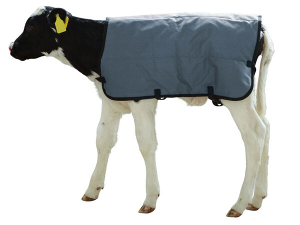 Termodeka pre teľatá KERBL 14156 RIPSTOPP 80 cm – Obrázok 2