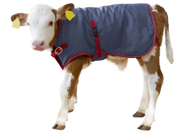 Termodeka pro telata KERBL 14149 THERMOPLUS 80 cm – Obrázok 2