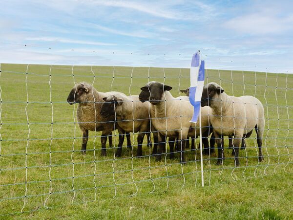 kozy KERBL 27394 OVINET MAXI 122 cm x 50 m / 2 hroty