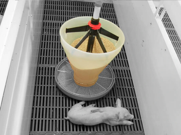 Násypka pre adaptívne kŕmidlo pre prasiatka pri odstave KERBL 221077 FUNNEL FOR MAXI HOPPER PAN – Obrázok 2