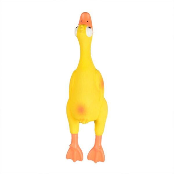 5cm