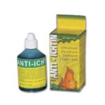 Antiichtin