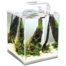 Akvária malé - do 10L