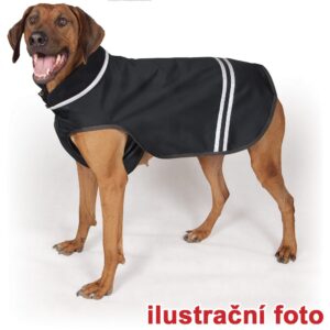 Oblečenie pre psov, Pláštenky a vetrovky, Psy - WINDY, 40cm