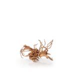 Spider Wood S
