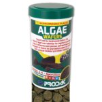 Prodac Algae Wafers