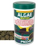 Prodac Algae Wafers