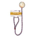 Míč na šňůře