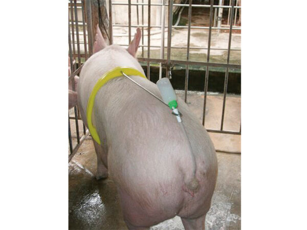 Autoinseminátor pre prasnice KERBL 22619 AI BUDDY – Obrázok 2
