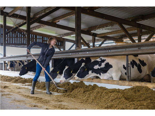 Lopata hliníková s oceľovou hranou, bez násady KERBL 2970, 32 cm – Obrázok 4