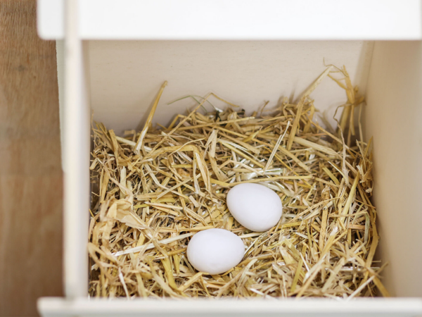 Keramický podkladok pre sliepky KERBL 73004 umelé vajcia 1ks – Obrázok 4