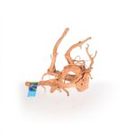 Spider wood M