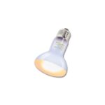 ReptiZoo žárovka Daylight basking spot 75W