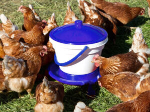 hydina GAUN 12225 - 15l