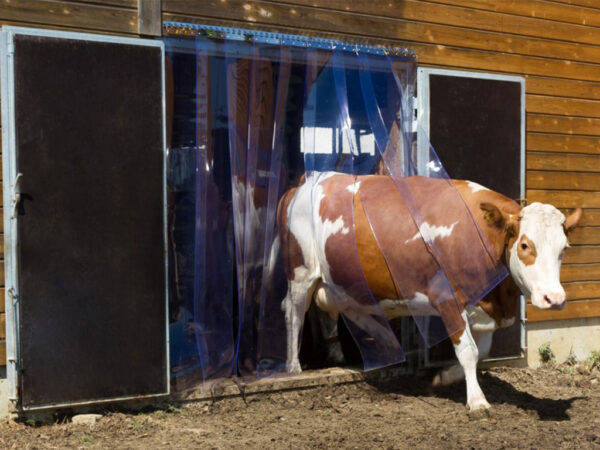 PVC pás KERBL 291150 - dĺžka 25m, šírka 30cm, hrúbka 3mm – Obrázok 4