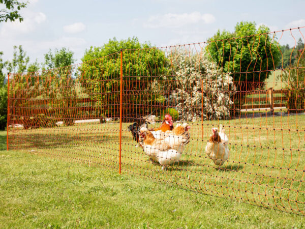 Vodivá sieť pre hydinu KERBL 292271 106 cm x 50 m / 2 hroty, oranžová – Obrázok 3