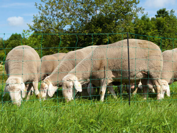 90 cm x 50 m / 2 hroty