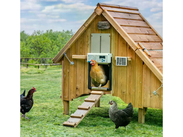 Komplet automatického otvárania a zatvárania kurína CHICKEN GUARD ALL IN ONE SOLAR – Obrázok 2