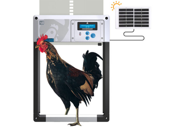 Komplet automatického otvárania a zatvárania kurína CHICKEN GUARD ALL IN ONE SOLAR – Obrázok 3