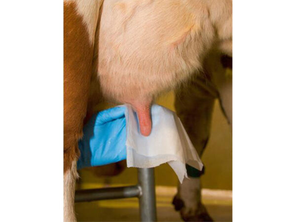 Vlhčené utierky na vemená KERBL 15815 UDDEROCLEAN 20x20 cm, 1000 útržkov, vedro s vekom – Obrázok 4
