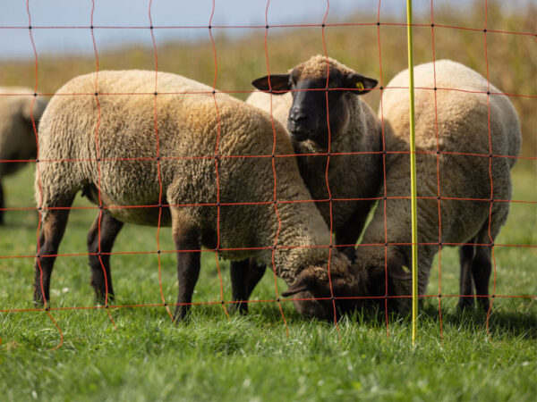 Sieť pre elektrický ohradník pre ovce KERBL 27902 108 cm x 50 m / 1 hrot, oranžová – Obrázok 3