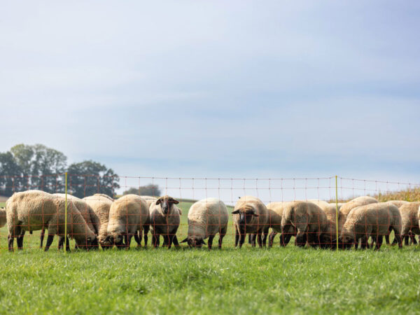 Sieť pre elektrický ohradník pre ovce KERBL 27901 90 cm x 50 m / 2 hroty, oranžová – Obrázok 4