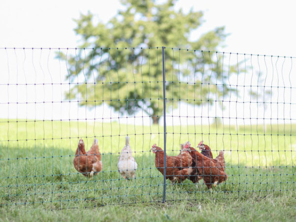 106 cm x 25 m / 2 hroty