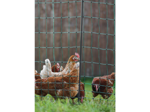 Nevodivá sieť pre hydinu KERBL 292419 PREMIUM, 106 cm x 25 m / 2 hroty – Obrázok 3