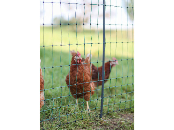 Nevodivá sieť pre hydinu KERBL 292419 PREMIUM, 106 cm x 25 m / 2 hroty – Obrázok 4