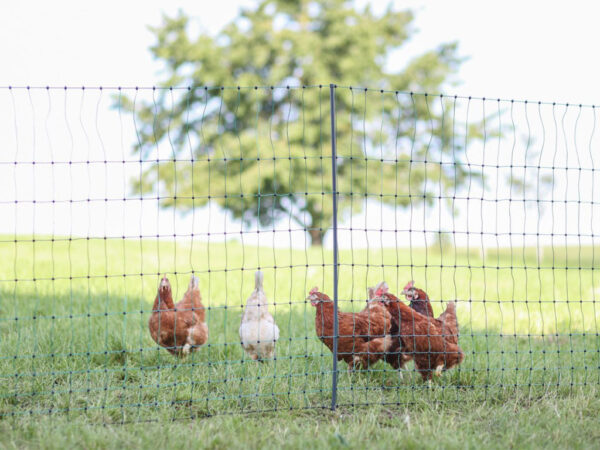 106 cm x 50 m / 2 hroty