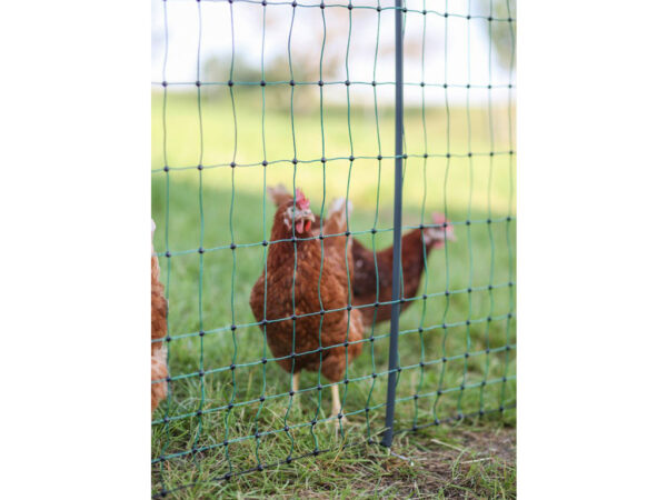 Nevodivá sieť pre hydinu KERBL 292418 PREMIUM, 106 cm x 50 m / 2 hroty – Obrázok 3