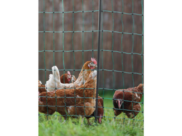 Nevodivá sieť pre hydinu KERBL 292418 PREMIUM, 106 cm x 50 m / 2 hroty – Obrázok 4