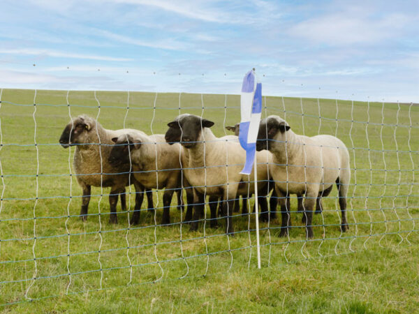 kozy KERBL 27388 OVINET MAXI 122 cm x 50 m / 1 hrot