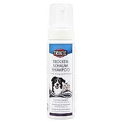 Dry Foam Shampoo Dry foam shampoo