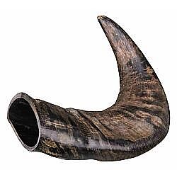 Natural Buffalo (Bovine) Chewing Horn Natural buffalo (bovine) chewing horn