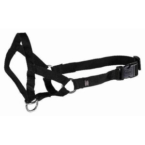 Top Trainer training harness