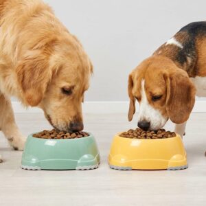 zelená