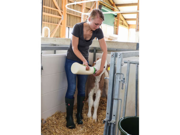 Kŕmna fľaša pre teľatá s cumlíkom KERBL 14676 MILKY FEEDER 4l – Obrázok 2