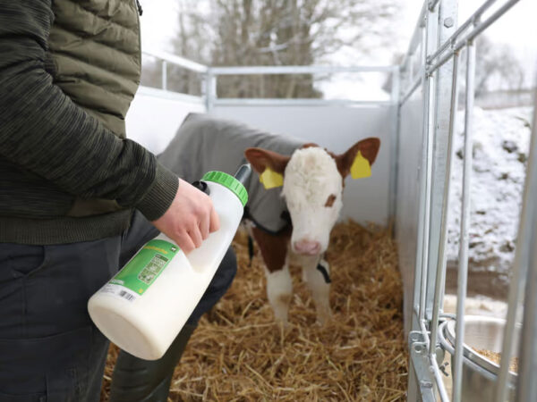 Kŕmna fľaša pre teľatá s cumlíkom KERBL 14676 MILKY FEEDER 4l – Obrázok 3