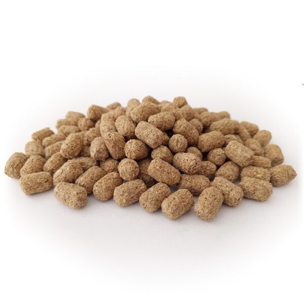 Tommi krmivo pro suchozemské želvy, 2kg – Obrázok 4